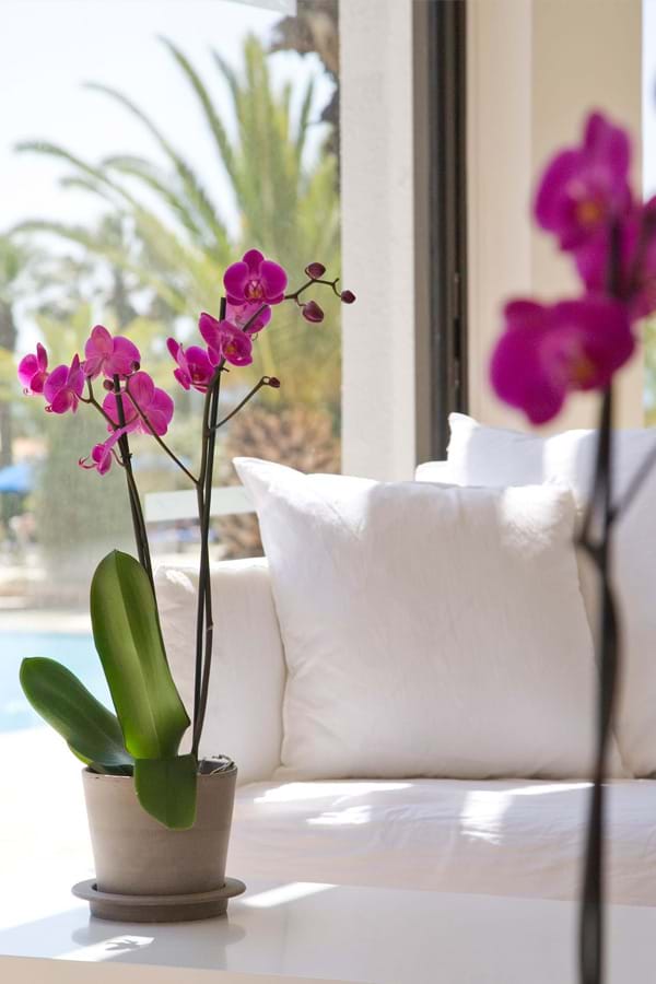 sandy beach hotel facilities